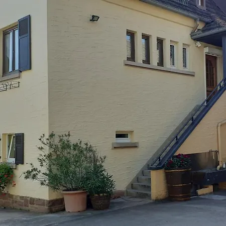 Les Hirondelles Du Mambourg Sigolsheim