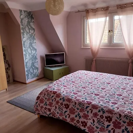 Holiday home Les Hirondelles Du Mambourg Sigolsheim