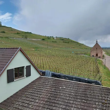 Les Hirondelles Du Mambourg *