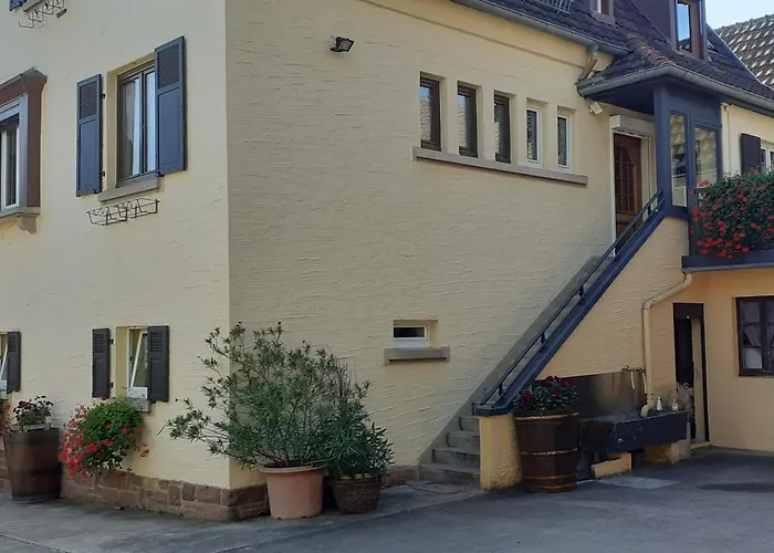Les Hirondelles Du Mambourg Sigolsheim