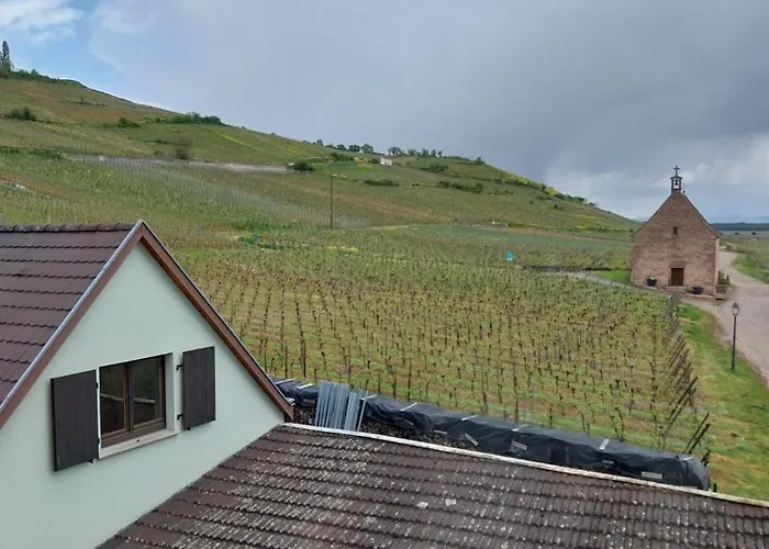 Les Hirondelles Du Mambourg *